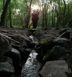 7 stage retraite energetique en foret de broceliande virginie pagnier gerald gemaux psyligne la rochelle jpg 1