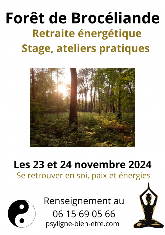 Affiche retraite energetique a broceliande